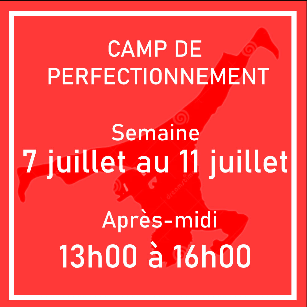 Semaine 3 | Après-midi 7 juillet au 11 juillet