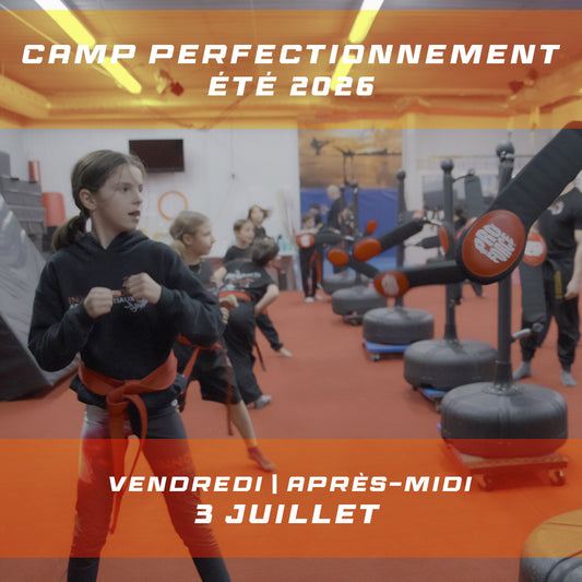 Vendredi 3 juillet | Après-midi